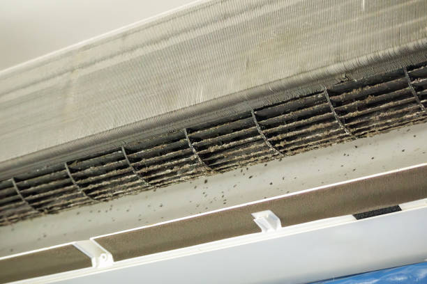 Best Air Duct Cleaning Near Me  in Biddeford, ME