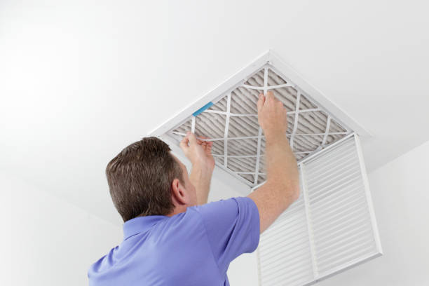 Best Air Duct Mold Removal  in Biddeford, ME